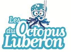 Les Octopus du Luberon