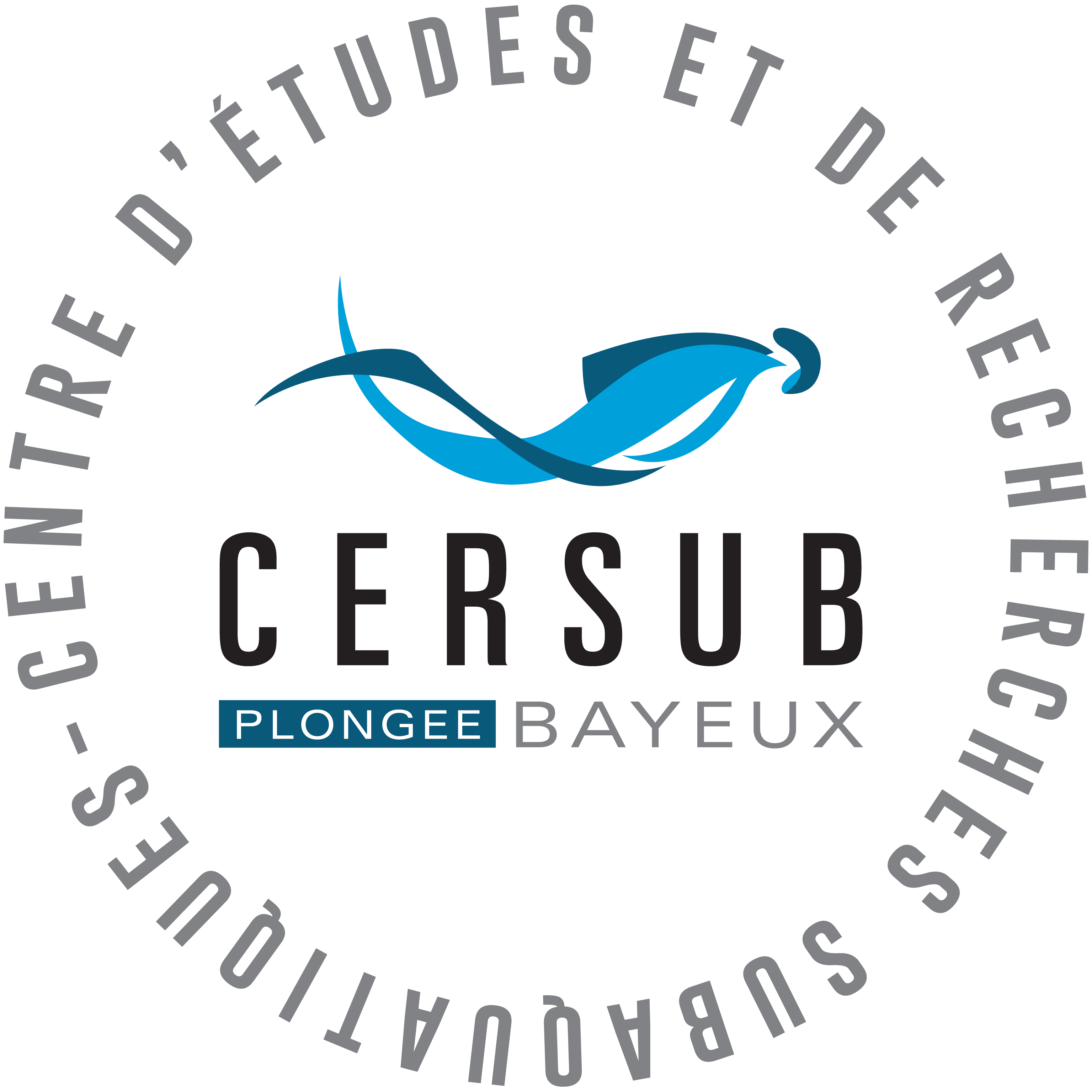 CERSUB