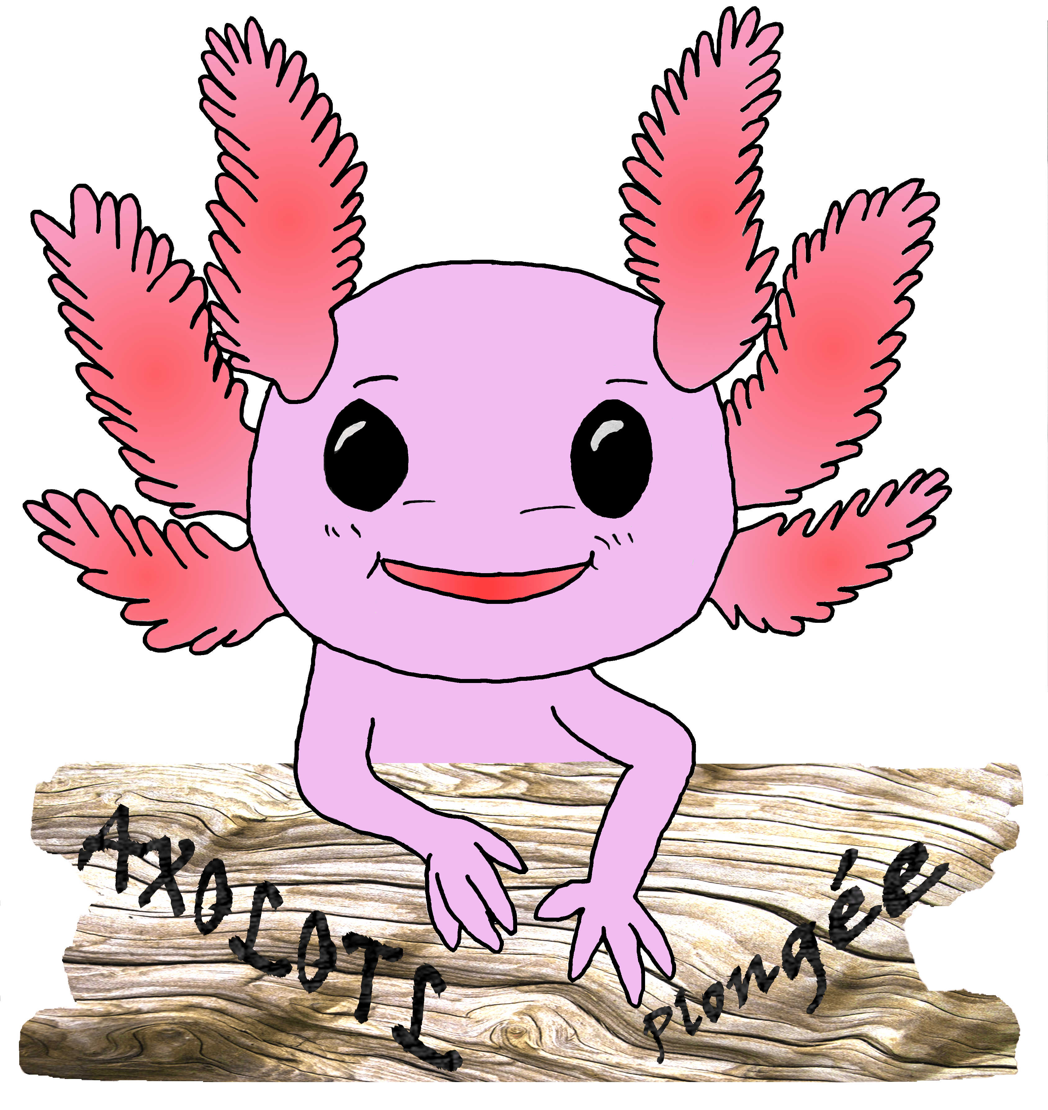 Axolotl-plongee