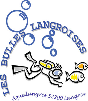 Les-bulles-langroises