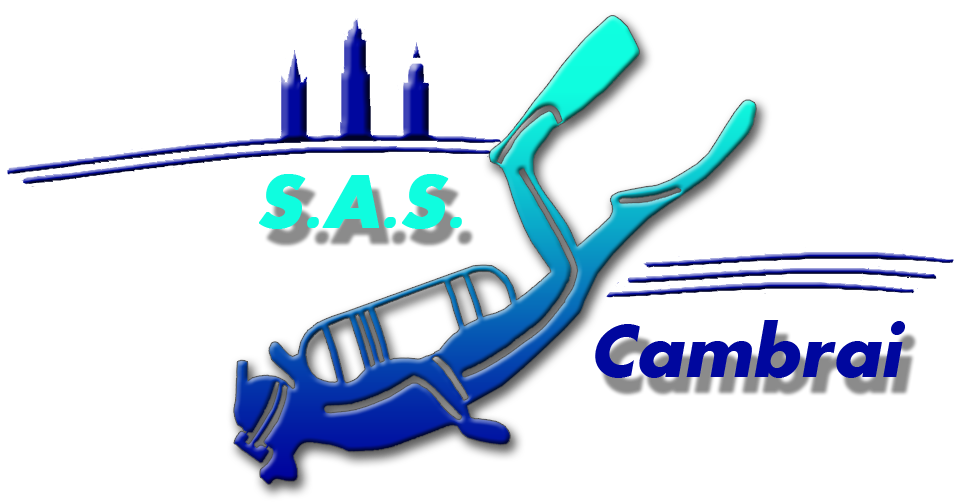 SAS Cambrai