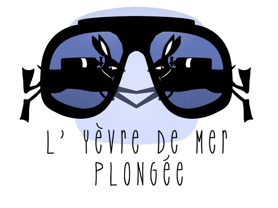 Lyevredemerplongee