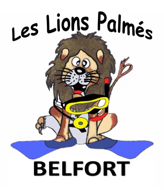 LES LIONS PALMES