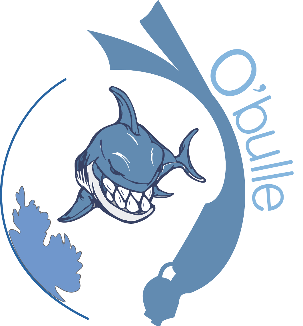 Obulle
