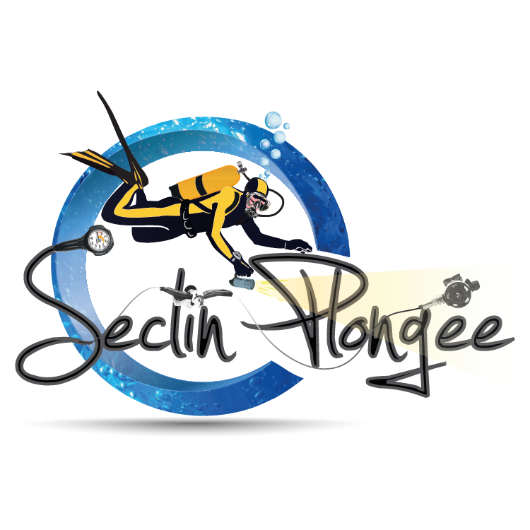 Seclin-plongee