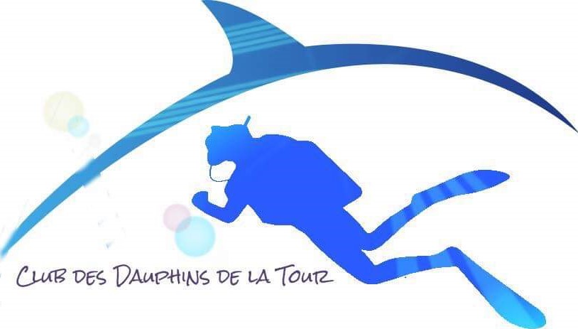 Les Dauphins de la Tour