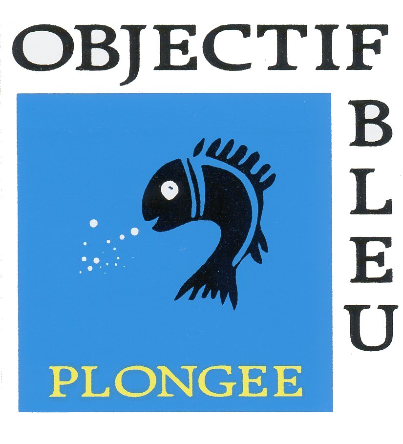Objectif-bleu