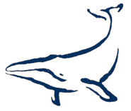 Club de plongée Deltaquatique