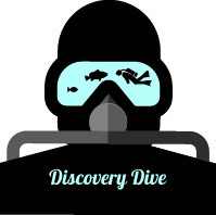 Discoverydive