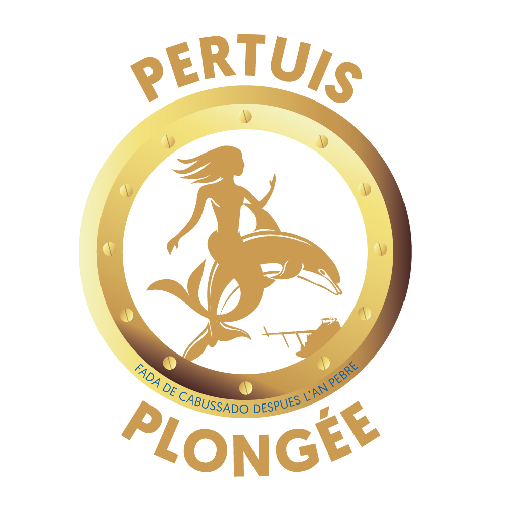 Pertuis Plongée