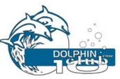 Dolphinclub10