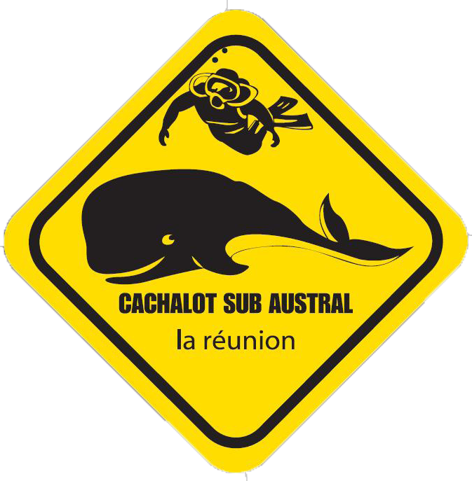 CACHALOT SUB AUSTRAL