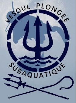 Vesoulplongee