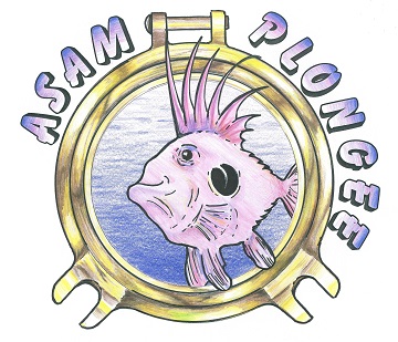 Asam Plongee