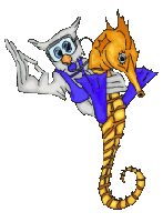 Plongée des 3 Frontières