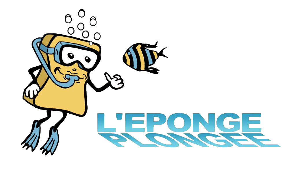 L'Eponge