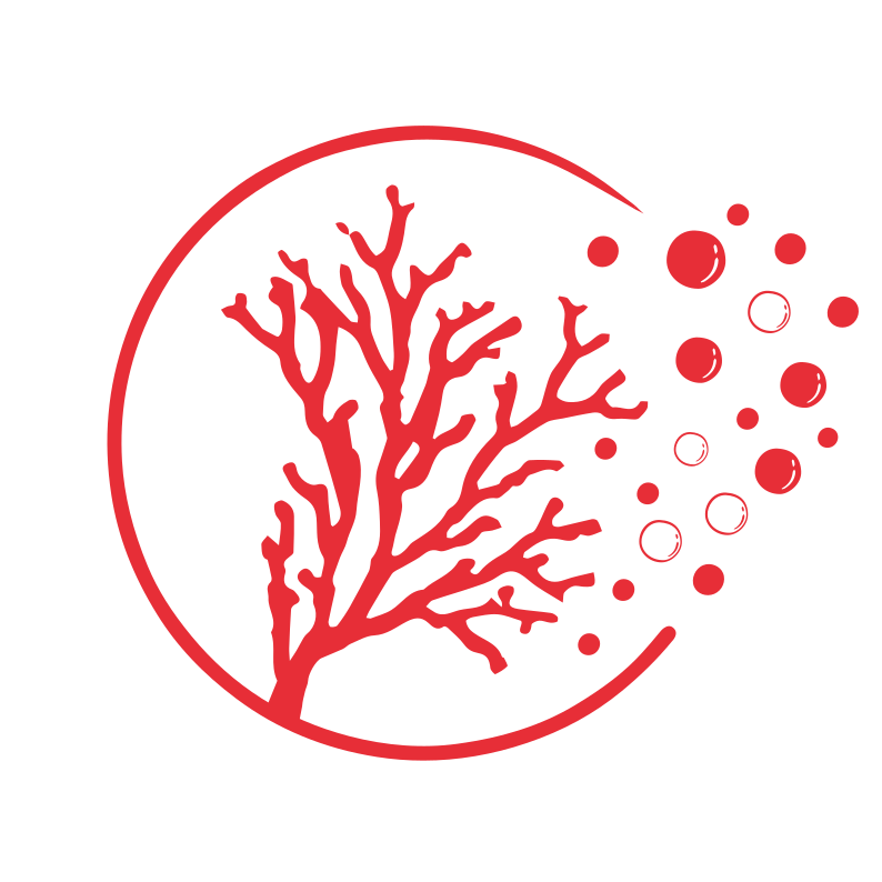 Gorgones Corail