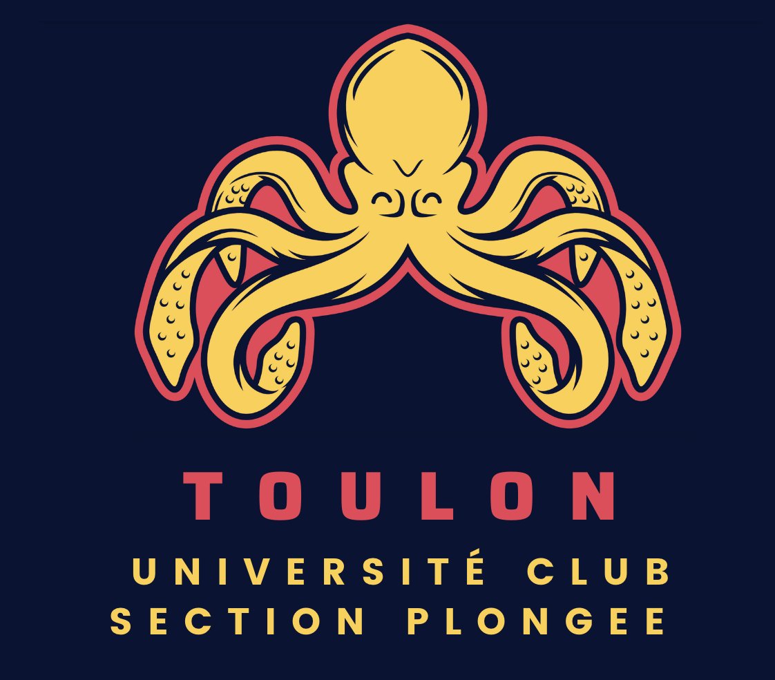 Toulon Université Club - Section Plongée