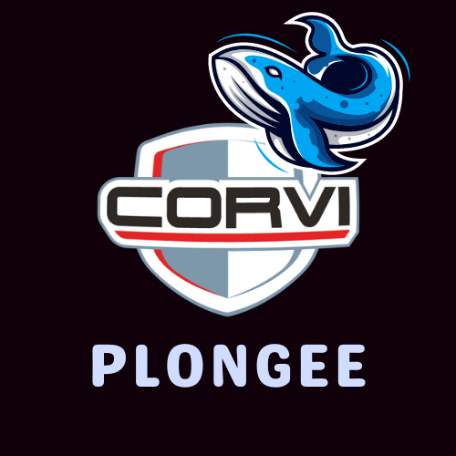 Corvi-plongee
