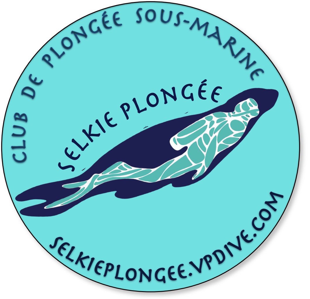 Selkie Plongée