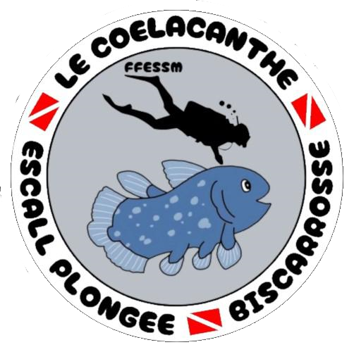 Le Coelacanthe Biscarrosse