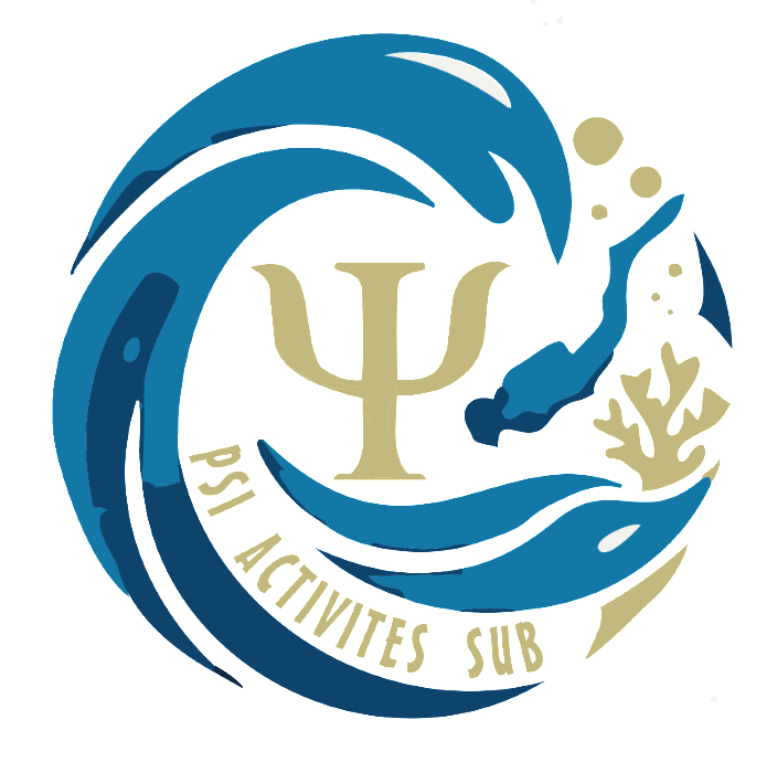 PSI - activités sub